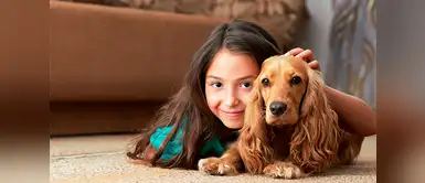 “Respeto a los animales” es el nuevo curso en los colegios de España “Respeto a los animales” es el nuevo curso en los colegios de España