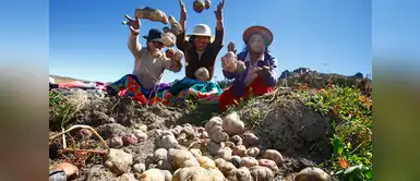 Cinco superalimentos peruanos que no pueden faltar en tu mesa Cinco superalimentos peruanos que no pueden faltar en tu mesa