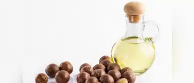 ¿Qué es el aceite de macadamia? Conoce sus beneficios en el cabello ¿Qué es el aceite de macadamia? Conoce sus beneficios en el cabello