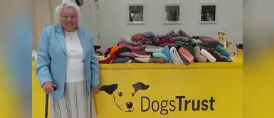 Anciana tejió más de 400 frazadas y chompas para perritos de un refugio Anciana tejió más de 400 frazadas y chompas para perritos de un refugio