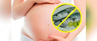 Alerta de mercurio: estos pescados podrían afectar tu embarazo Alerta de mercurio: estos pescados podrían afectar tu embarazo