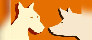 El sensey Kozono nos cuenta cómo les irá al Perro y al Cerdo en este año El sensey Kozono nos cuenta cómo les irá al Perro y al Cerdo en este año