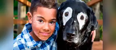 Niño se cura de la depresión al conocer a perrito con vitiligo Niño se cura de la depresión al conocer a perrito con vitiligo