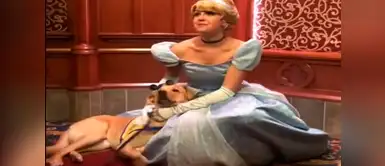 No solo los niños se emocionan al ver a una princesa, este perrito también No solo los niños se emocionan al ver a una princesa, este perrito también