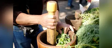 ¿Sufres de ansiedad? Estos tratamiento con plantas medicinales pueden ayudarte ¿Sufres de ansiedad? Estos tratamiento con plantas medicinales pueden ayudarte