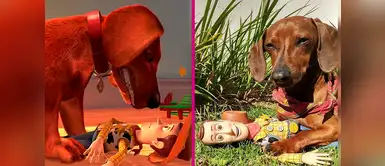 Woody y Buster de Toy Story conmueven las redes con sesión de fotos Woody y Buster de Toy Story conmueven las redes con sesión de fotos