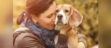 ¿Los perros pueden reconocer a las malas personas? La ciencia responde ¿Los perros pueden reconocer a las malas personas? La ciencia responde