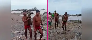 Policías de salvataje salvan a perrita preñada que era arrastrada por huaico Policías de salvataje salvan a perrita preñada que era arrastrada por huaico