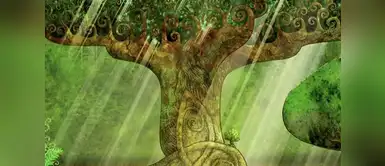 Descubre cuál es tu signo en el misterioso horóscopo celta ¡Tu propio árbol! Descubre cuál es tu signo en el misterioso horóscopo celta ¡Tu propio árbol!