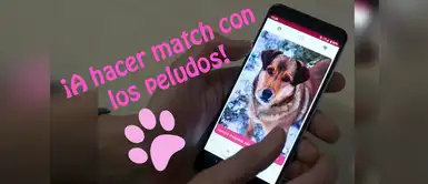 ¿Sabías que existe el Tinder para perros? Lo último en app ¿Sabías que existe el Tinder para perros? Lo último en app