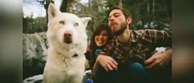 5 señales que tu perro odia a tu novio 5 señales que tu perro odia a tu novio