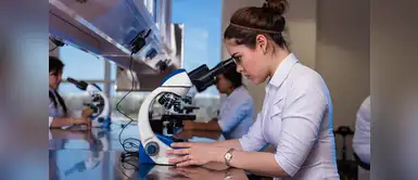 La tabla periódica que jamás usaste, pero que le pertenece a grandes científicas La tabla periódica que jamás usaste, pero que le pertenece a grandes científicas