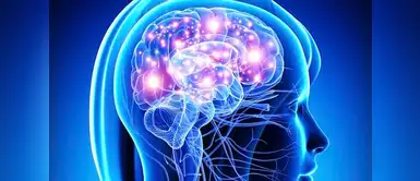 Esta es la técnica que puede reducir las convulsiones de la epilepsia Esta es la técnica que puede reducir las convulsiones de la epilepsia