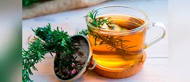 El agua de romero ayuda a estar en forma y al mismo tiempo potencia tu cerebro El agua de romero ayuda a estar en forma y al mismo tiempo potencia tu cerebro