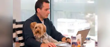 Tienda de ropa dejó que sus trabajadores lleven a sus mascotas a la oficina Tienda de ropa dejó que sus trabajadores lleven a sus mascotas a la oficina