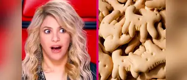 10 datos ‘salvajes’ que quizá no sabías de las galletas de animalitos 10 datos ‘salvajes’ que quizá no sabías de las galletas de animalitos