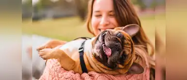 Estas son las señales con las que tu perro te demuestra que te ama Estas son las señales con las que tu perro te demuestra que te ama