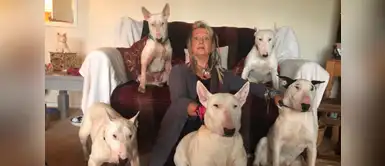 "Los perros o yo" le dijo su marido, ahora ella vive feliz con sus perritos "Los perros o yo" le dijo su marido, ahora ella vive feliz con sus perritos