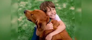 Estos son los beneficios de que tu hijo tenga una mascota. ¡Amor perruno! Estos son los beneficios de que tu hijo tenga una mascota. ¡Amor perruno!