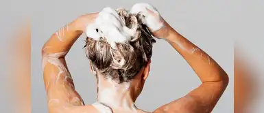 4 tips de belleza que tienes que saber para identificar un buen champú 4 tips de belleza que tienes que saber para identificar un buen champú