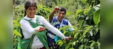 ¡Café con aroma de mujer! Vicentina Phocco y su historia de emprendimiento ¡Café con aroma de mujer! Vicentina Phocco y su historia de emprendimiento