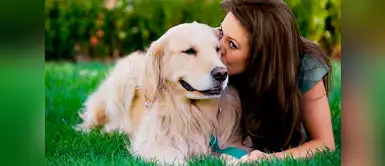 ¿Tu perro te sigue? Conoce las razones esta conducta ¿Tu perro te sigue? Conoce las razones esta conducta