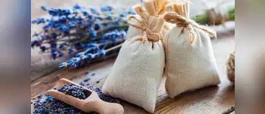 ¡DIY Olfativo! Recompensa tus sentidos con aromas agradables ¡DIY Olfativo! Recompensa tus sentidos con aromas agradables