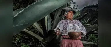 Si no fuera por las mujeres, no habría tequila Si no fuera por las mujeres, no habría tequila