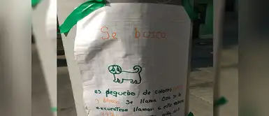 Niña busca a su perrito perdido con conmovedor cartel en Lima Niña busca a su perrito perdido con conmovedor cartel en Lima