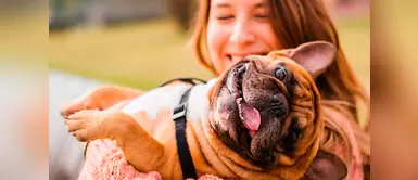 Investigación revela cómo se puede medir el amor entre los perros y sus dueños Investigación revela cómo se puede medir el amor entre los perros y sus dueños