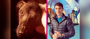 Instagram: la conmovedora despedida de Bruno Pinasco a su perro ‘Pisco’ Instagram: la conmovedora despedida de Bruno Pinasco a su perro ‘Pisco’