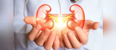 Día Mundial del Riñón: 4 consejos para mantener este órgano sano Día Mundial del Riñón: 4 consejos para mantener este órgano sano