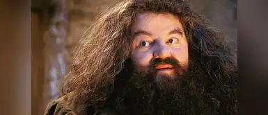 Hagrid de Harry Potter tendrá que usar una silla de ruedas Hagrid de Harry Potter tendrá que usar una silla de ruedas