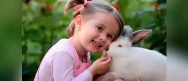 5 consejos básicos para tener un conejo de mascota 5 consejos básicos para tener un conejo de mascota