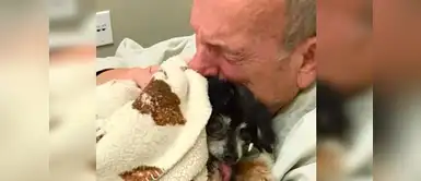 Abuelito rompe en llanto cuando despide para siempre a su perro de 16 años Abuelito rompe en llanto cuando despide para siempre a su perro de 16 años