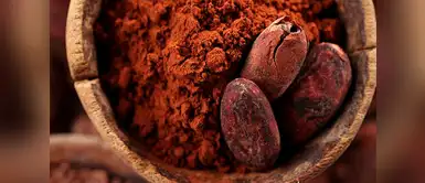 3 productos de belleza a base de cacao que deberías probar 3 productos de belleza a base de cacao que deberías probar