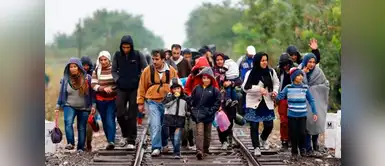 México: ¿cuáles son los derechos de los migrantes en este país? México: ¿cuáles son los derechos de los migrantes en este país?