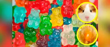 Nuevo producto a base de aguaymanto y sangre de cuy promete erradicar la anemia Nuevo producto a base de aguaymanto y sangre de cuy promete erradicar la anemia