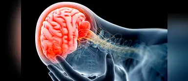 10 hábitos que sin darnos cuenta están dañando mortalmente nuestro cerebro 10 hábitos que sin darnos cuenta están dañando mortalmente nuestro cerebro