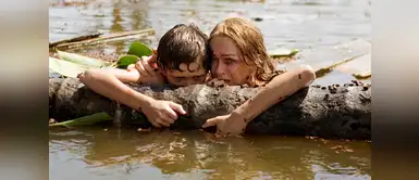 ¿Soñaste con desastres o fenómenos naturales? Te contamos su significado ¿Soñaste con desastres o fenómenos naturales? Te contamos su significado