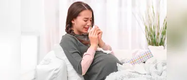 Salud emocional en el embarazo también influye en el desarrollo del bebé Salud emocional en el embarazo también influye en el desarrollo del bebé