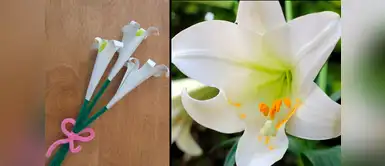 Semana Santa DIY: Aprende como hacer un Lirio de Pascua Semana Santa DIY: Aprende como hacer un Lirio de Pascua