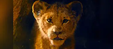 Nuevo tráiler de ‘El Rey León’ emociona a todos los fans de Disney Nuevo tráiler de ‘El Rey León’ emociona a todos los fans de Disney
