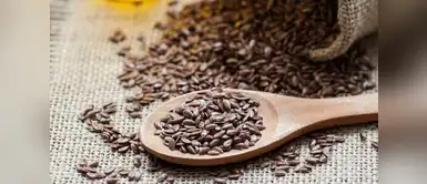 Descubre los beneficios de la linaza para el cuidado del cabello Descubre los beneficios de la linaza para el cuidado del cabello