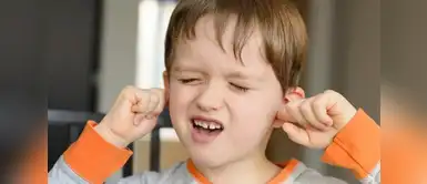 3 remedios caseros para aliviar el dolor de oído en bebés y niños 3 remedios caseros para aliviar el dolor de oído en bebés y niños