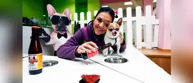 Abren bar para perros, donde podrán celebrar su fiesta de cumpleaños Abren bar para perros, donde podrán celebrar su fiesta de cumpleaños