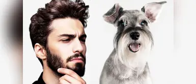 Hombres con barba serían más sucios que los perros, afirma estudio Hombres con barba serían más sucios que los perros, afirma estudio