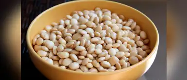 Chocho o tarwi: el milenario alimento de los Andes Chocho o tarwi: el milenario alimento de los Andes