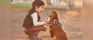 ¿Cómo influye la compañía de un perro en el desarrollo de los niños? ¿Cómo influye la compañía de un perro en el desarrollo de los niños?