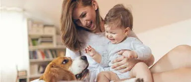 ¿Sabías que las mascotas aportan beneficios a la salud de tu bebé? ¿Sabías que las mascotas aportan beneficios a la salud de tu bebé?